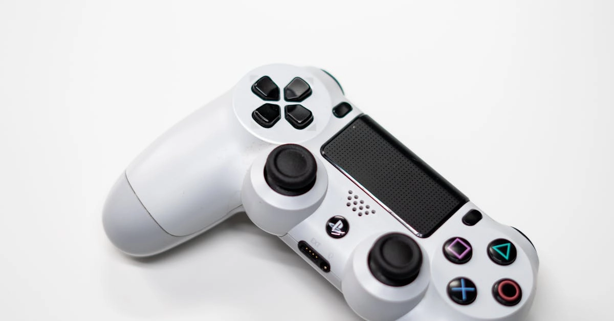 Архитектурный анализ пространственной композиции The Dog House Megaways