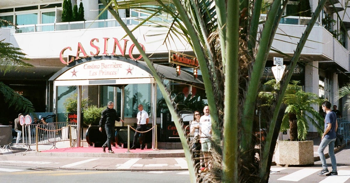 Архитектурная концепция игровых пространств RamenBet Casino