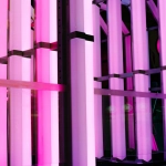 JetX архитектура цифрового игрового пространства